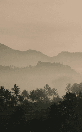 Tailored for Bali's Unique Vibe